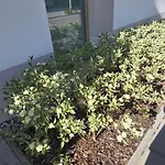 Apartament 1 Pokojowy - Kawalerka Z Klimatyzacją, Garażem Podziemnym Warszawa