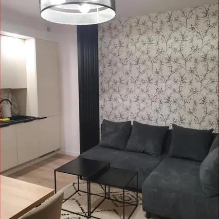Apartment 1 Pokojowy - Kawalerka Z Klimatyzacja, Garazem Podziemnym Warschau