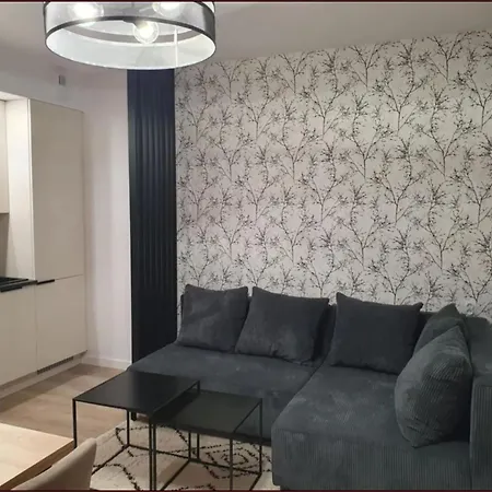 1 Pokojowy - Kawalerka Z Klimatyzacja, Garazem Podziemnym * 华沙