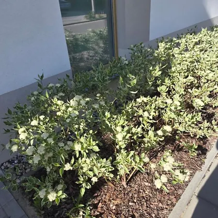 Apartment 1 Pokojowy - Kawalerka Z Klimatyzacja, Garazem Podziemnym Warschau